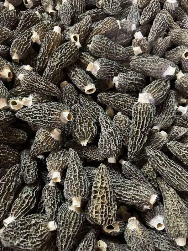 Pile of dried morel mushrooms.