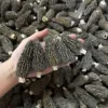 Hand holding morel mushrooms over a pile.