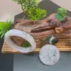 Carved jade jewelry on wooden display with plants.