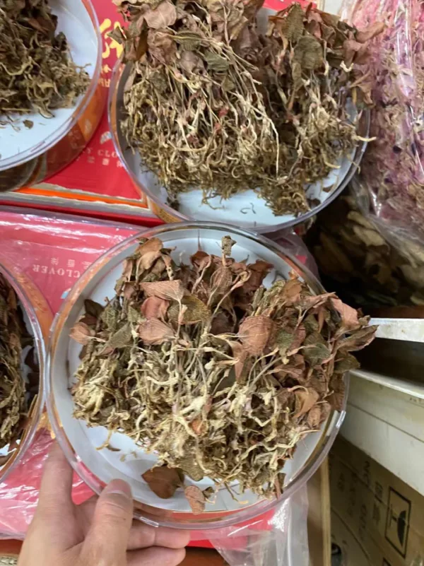 Person holding dried herbs in plastic container.