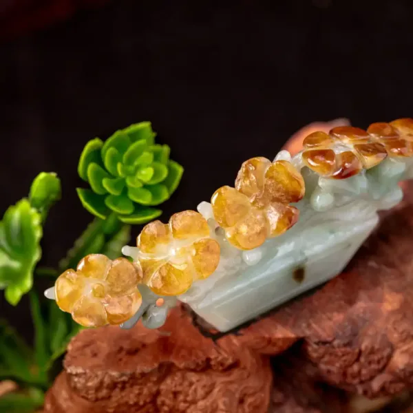 Close-up of succulent plant resembling sushi.